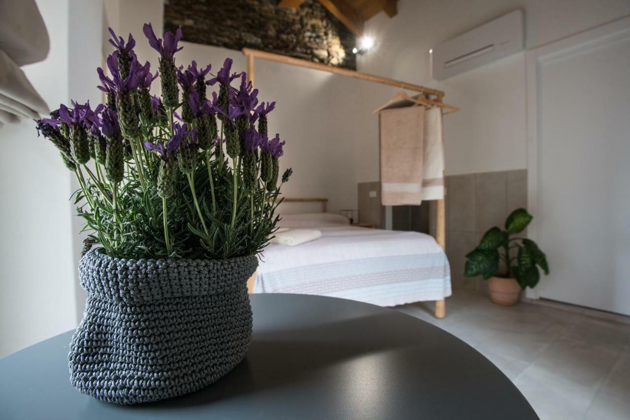 Guest House Seme Di Faggio Miasino Ngoại thất bức ảnh