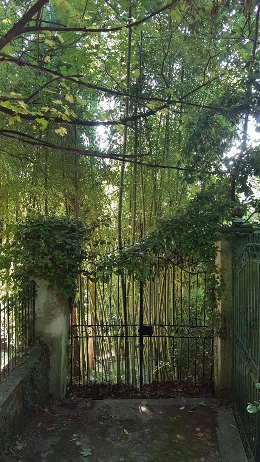 Guest House Seme Di Faggio Miasino Ngoại thất bức ảnh